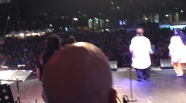 Bollywood Bald head crowd